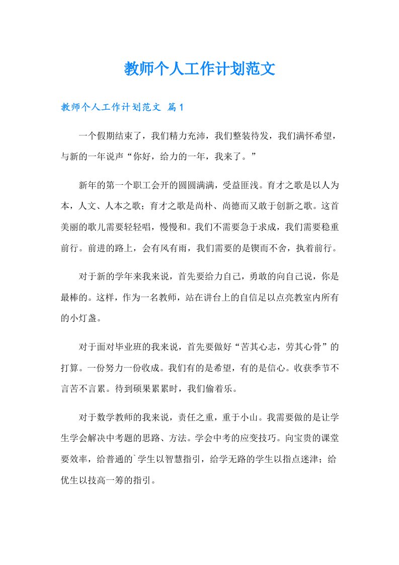 教师个人工作计划范文