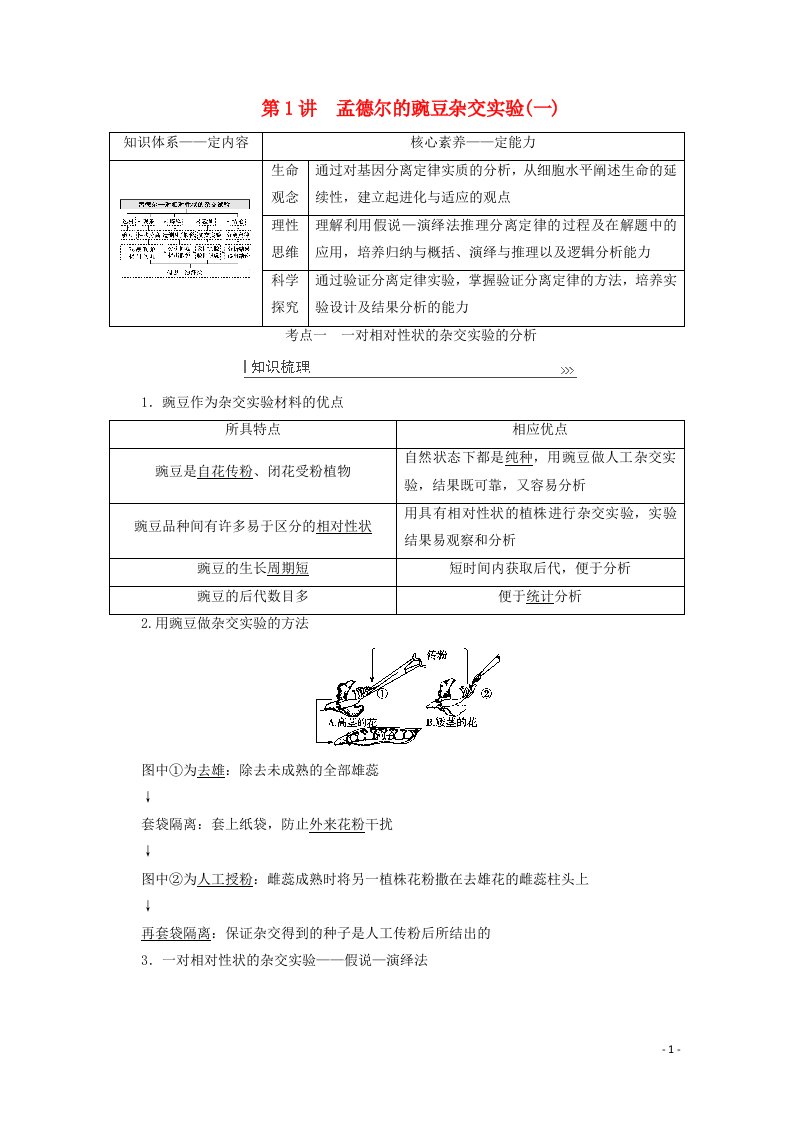 2022届高考生物一轮复习第五单元遗传的基本规律与伴性遗传第1讲孟德尔的豌豆杂交实验一教案新人教版