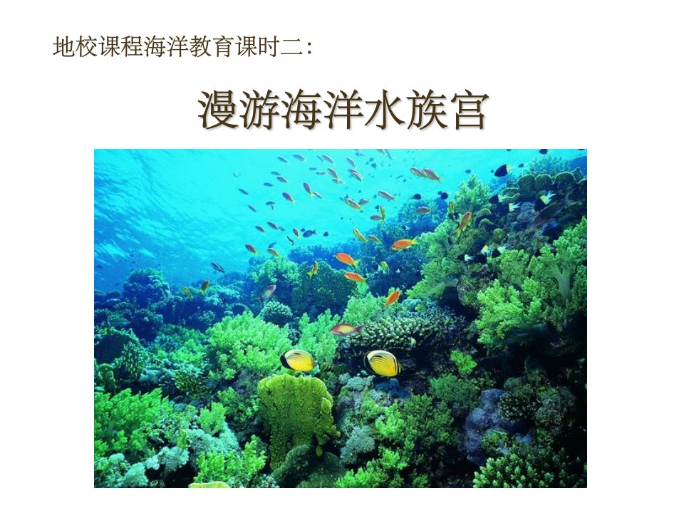 海洋无脊椎动物PPT课件