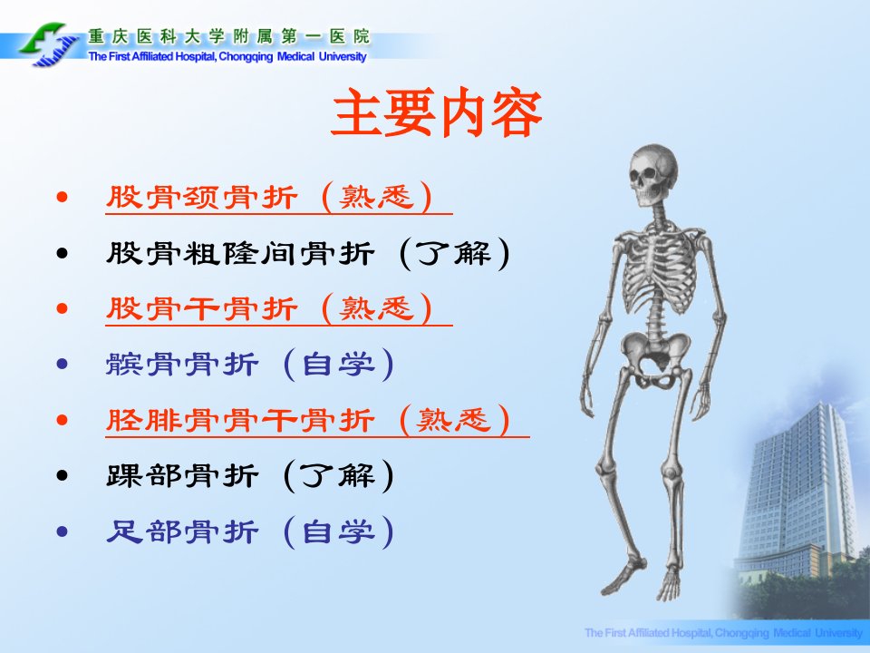 下肢骨折优秀PPT课件