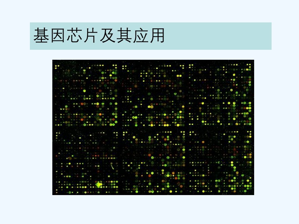 基因芯片研究和应用