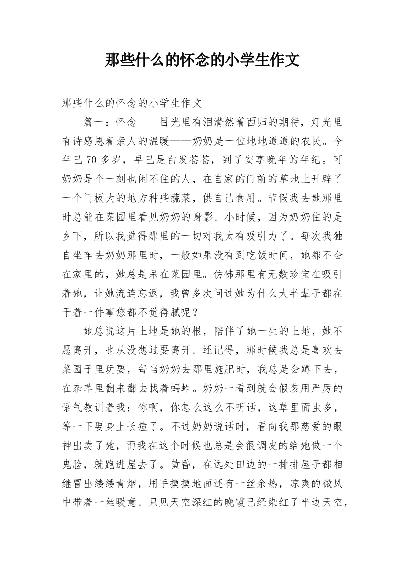 那些什么的怀念的小学生作文