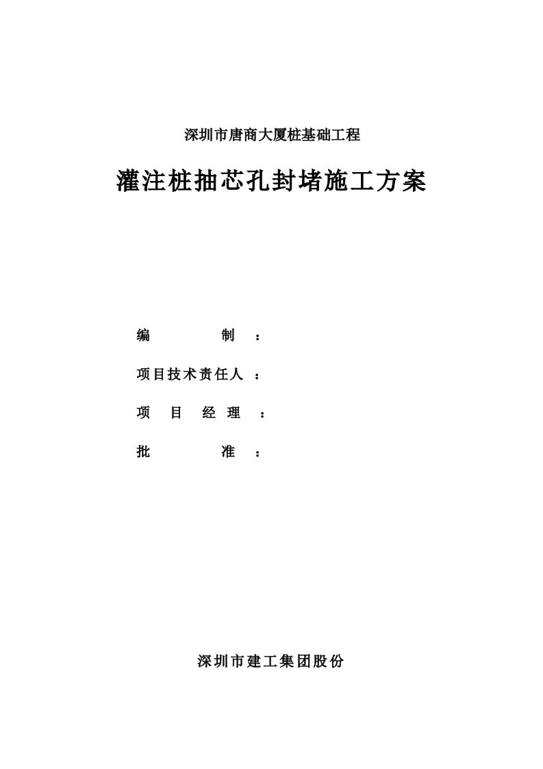 2021年灌注桩抽芯孔封堵重点标准施工专业方案