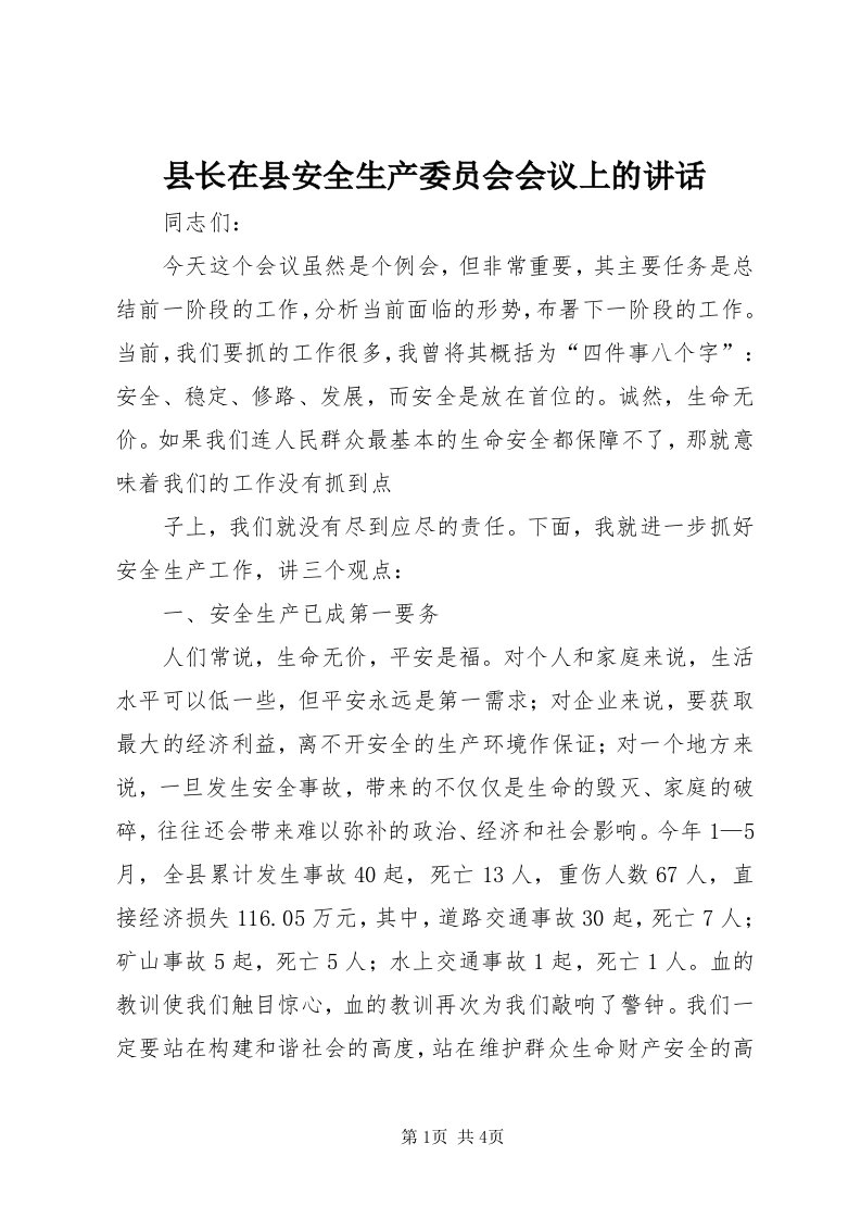 6县长在县安全生产委员会会议上的致辞