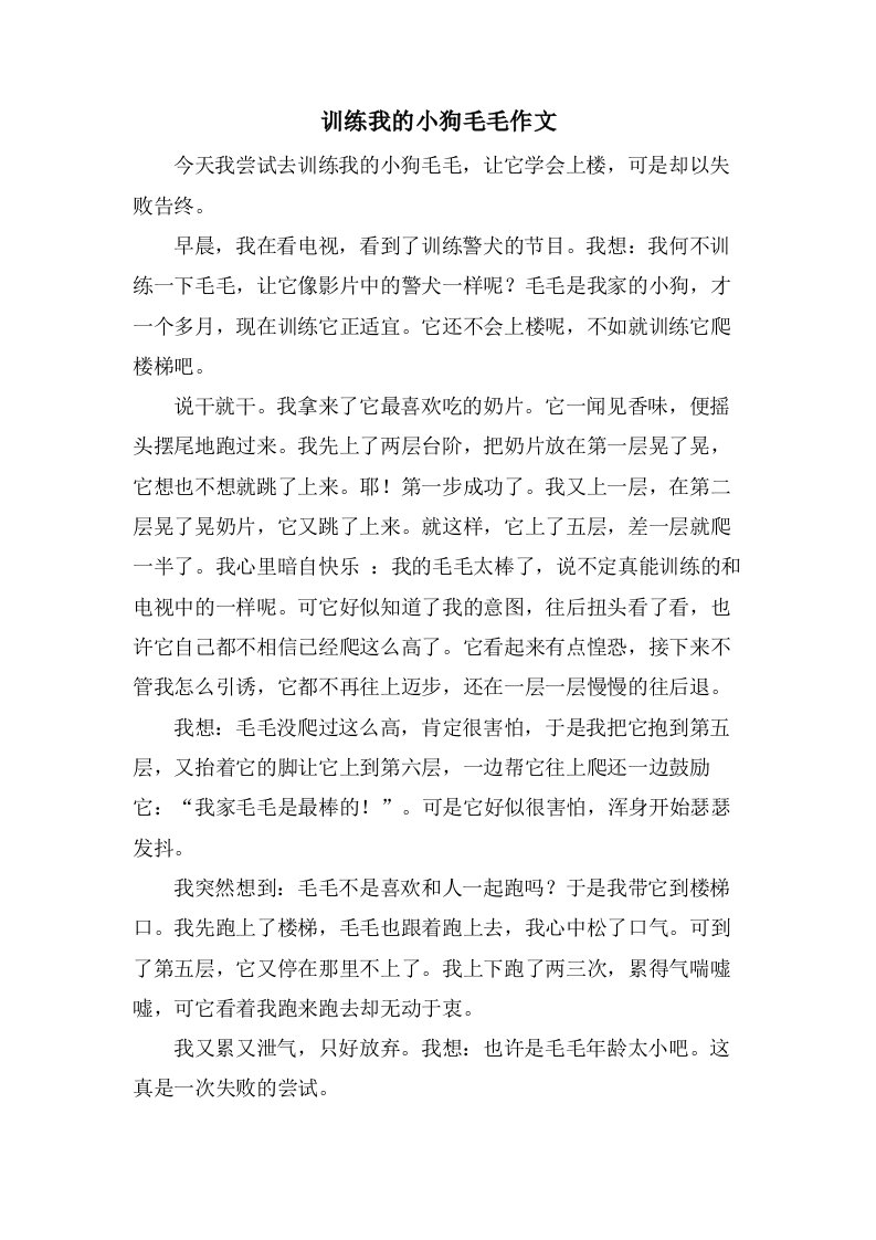 训练我的小狗毛毛作文