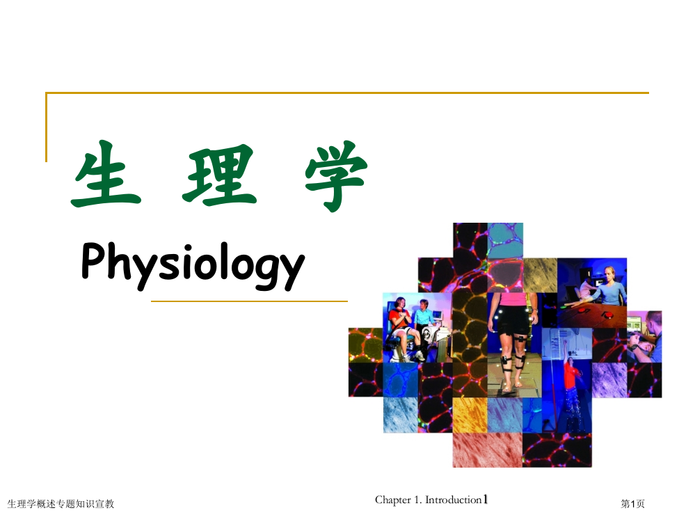 生理学概述专题知识宣教专家讲座