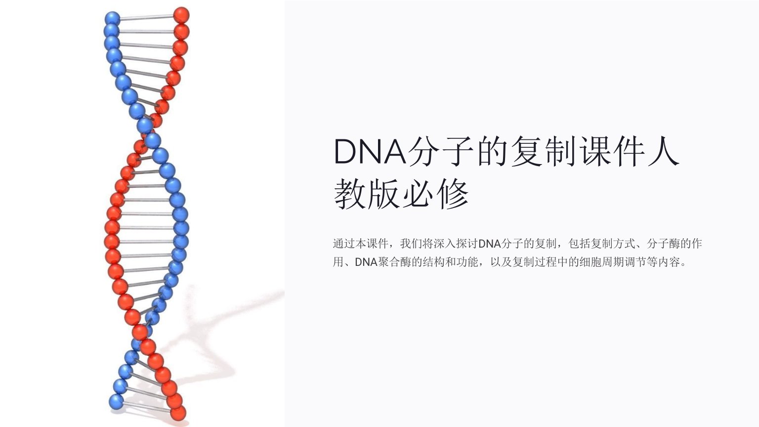 DNA分子的复制课件人教版必修