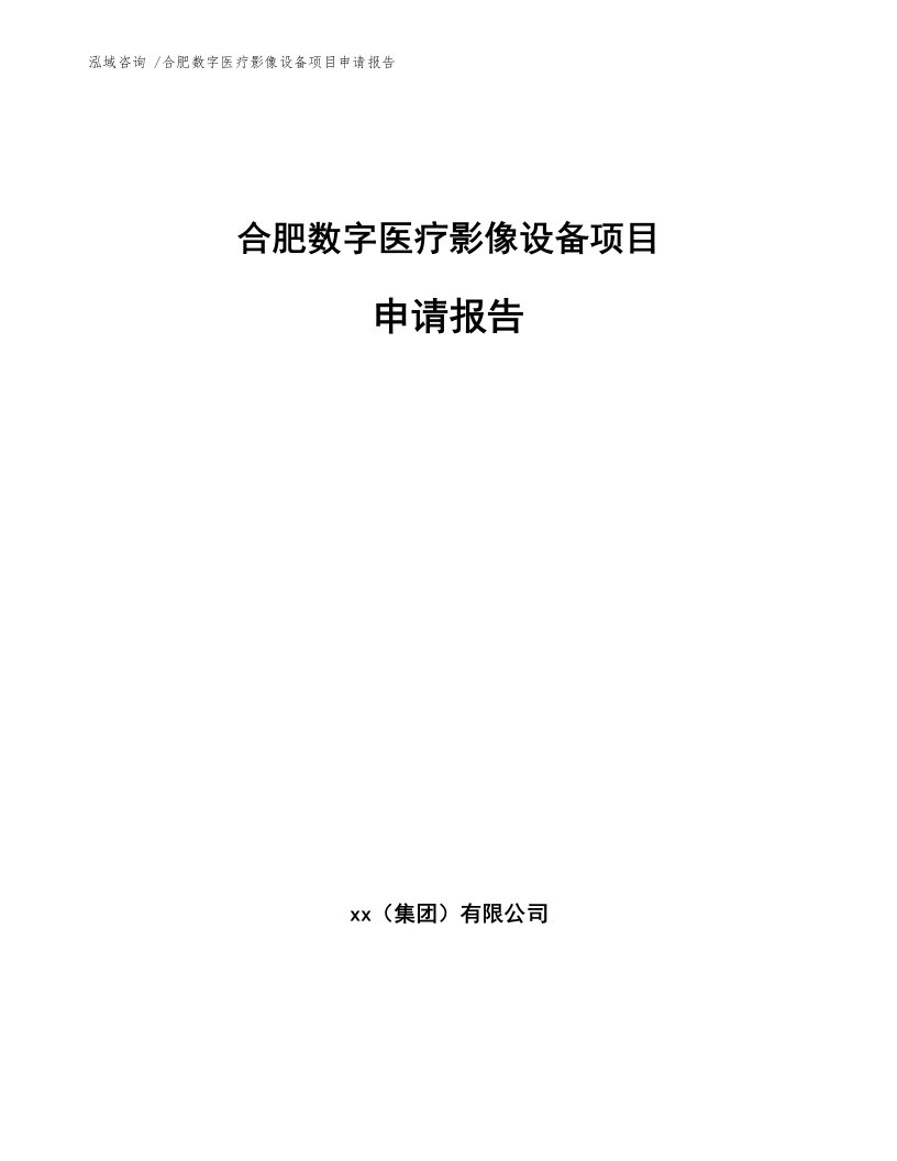 合肥数字医疗影像设备项目申请报告（模板参考）