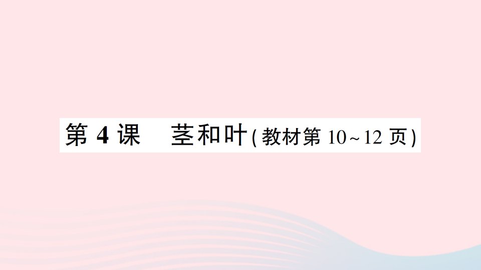 2023四年级科学下册第一单元植物的生长变化第4课茎和叶作业课件教科版