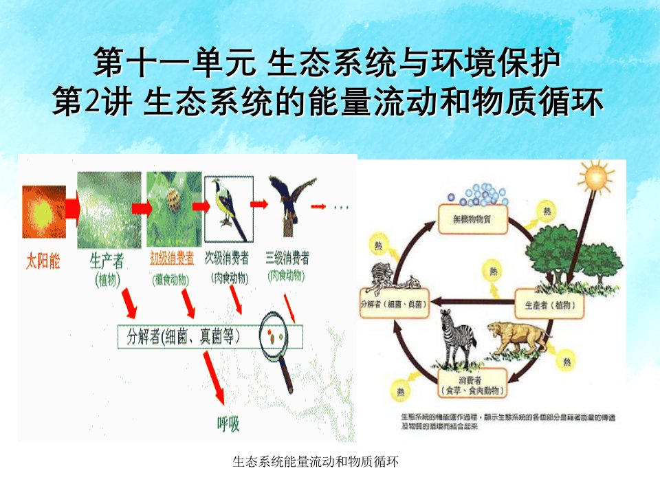 生态系统能量流动和物质循环