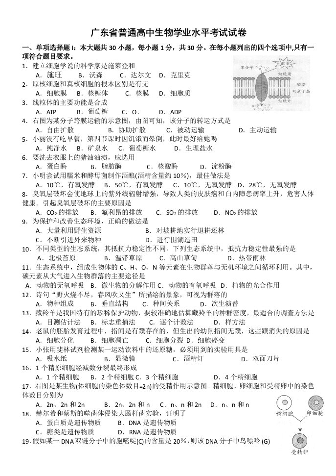 广东省普通高中生物学业水平考试试卷(含答案)