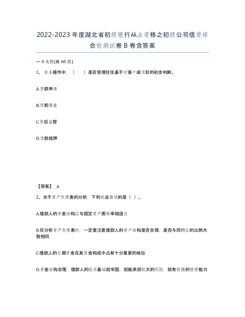 2022-2023年度湖北省初级银行从业资格之初级公司信贷综合检测试卷B卷含答案