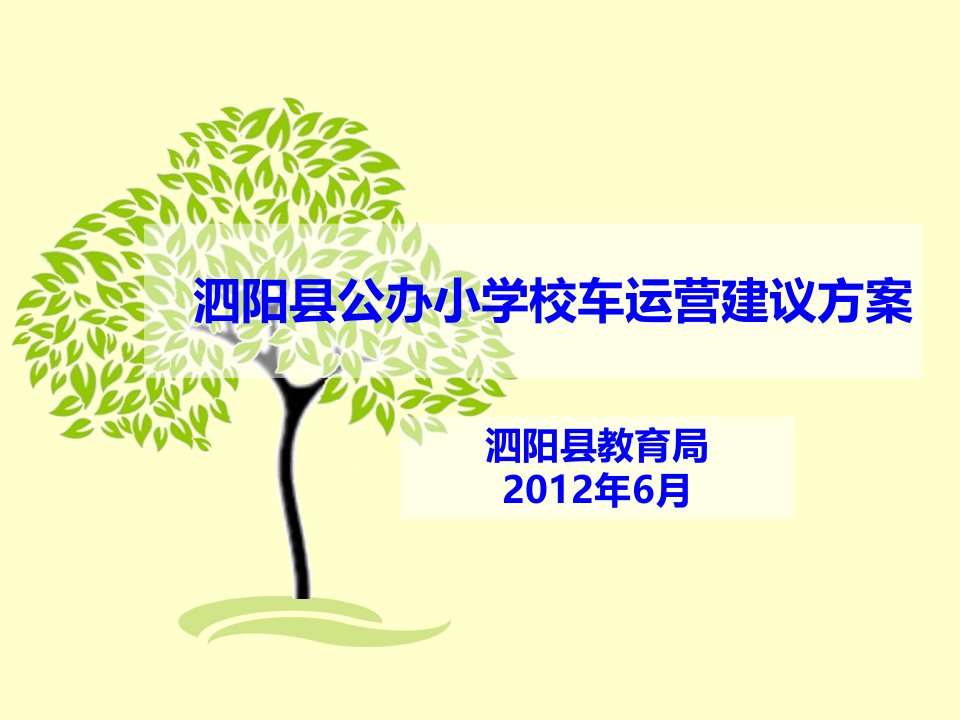 泗阳县公办小学校车运营建议方案