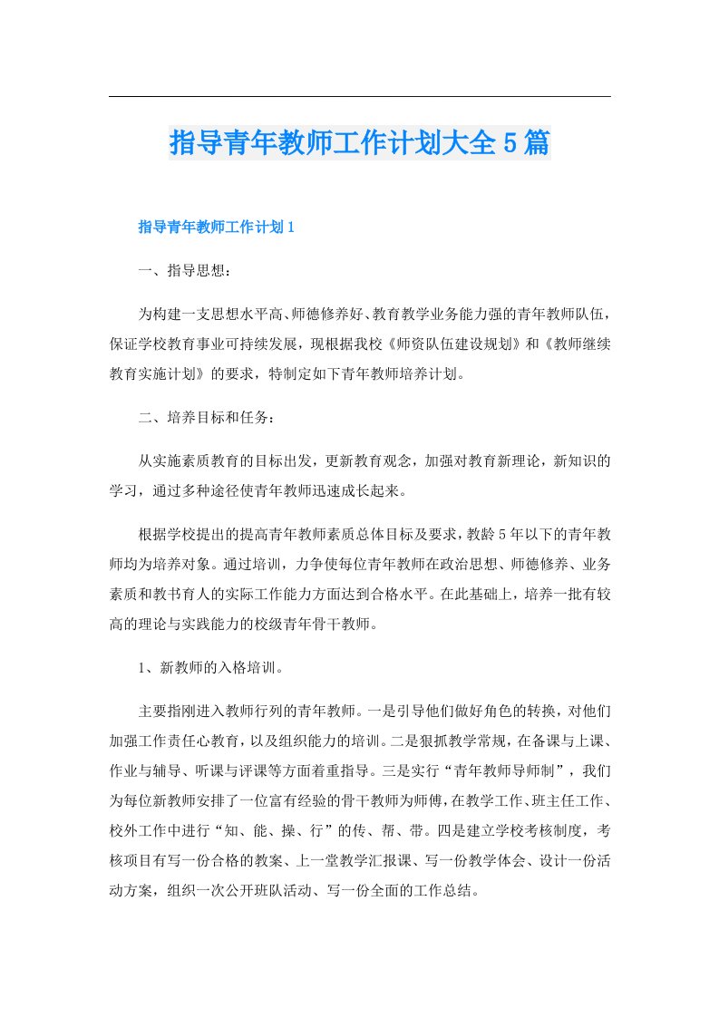 指导青年教师工作计划大全5篇