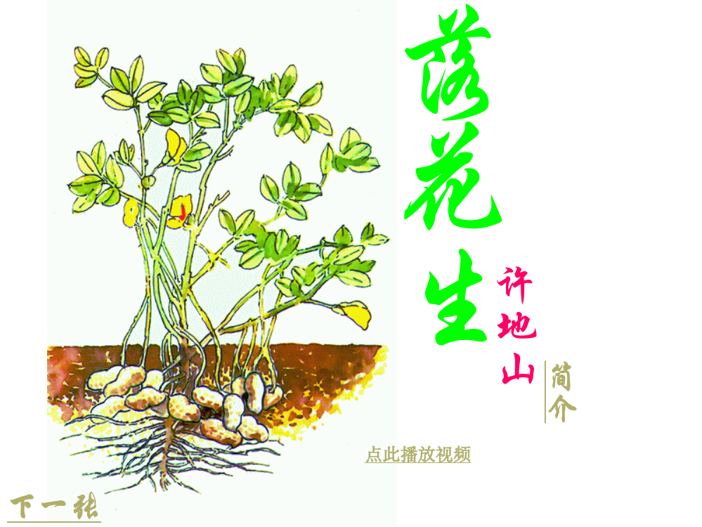 《落花生》课件之三