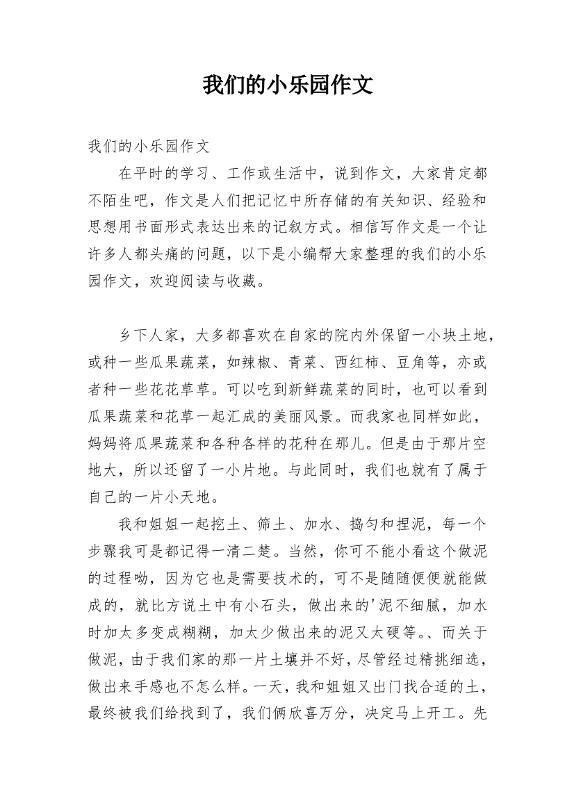 我们的小乐园作文