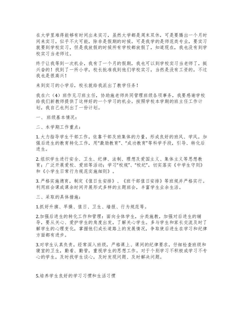 大学生的见习班主任工作计划