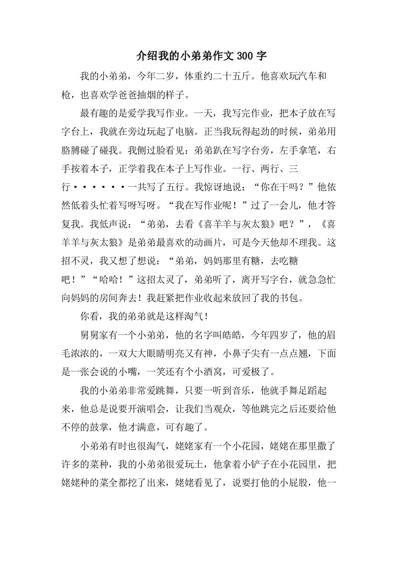 介绍我的小弟弟作文300字