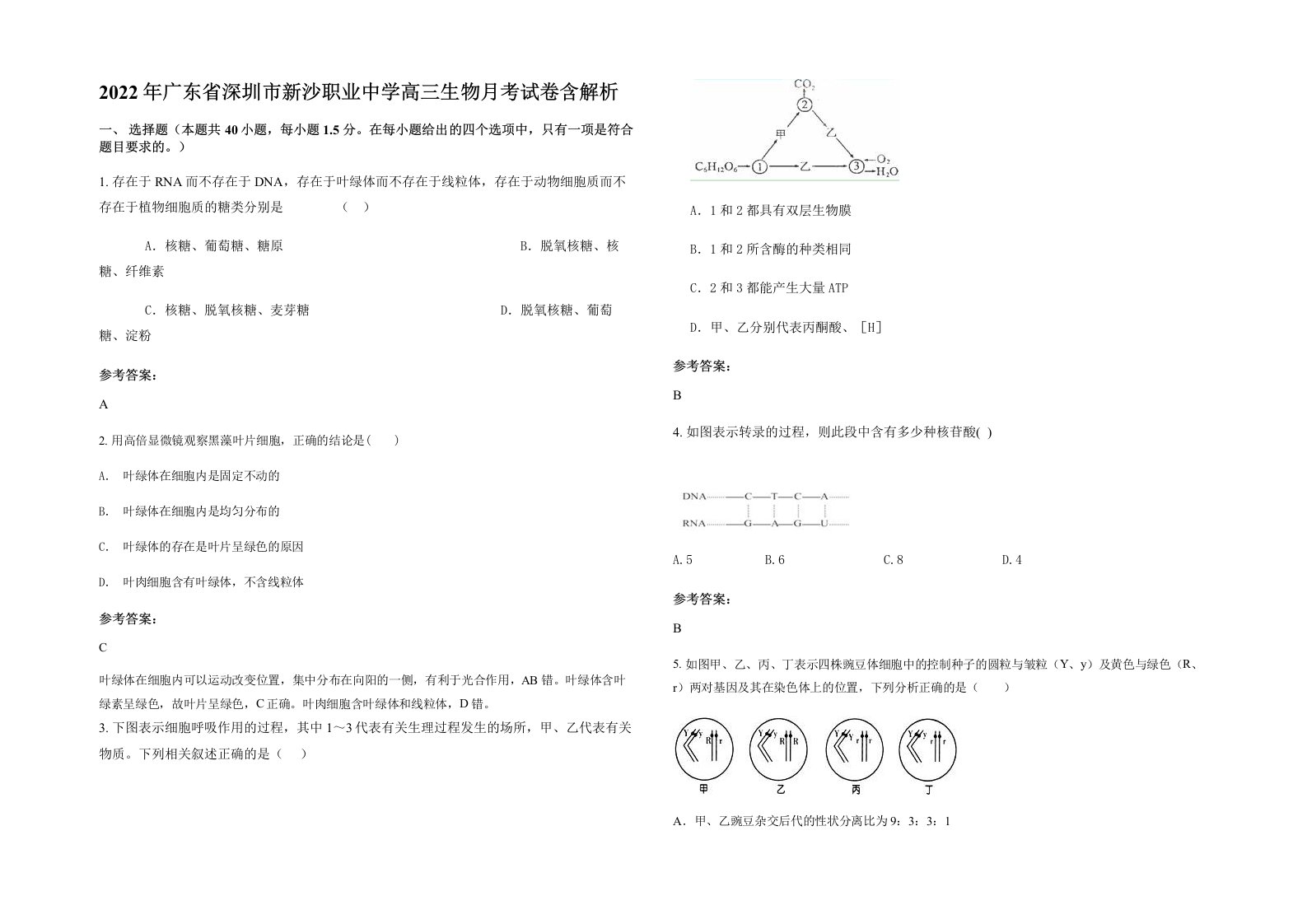 2022年广东省深圳市新沙职业中学高三生物月考试卷含解析