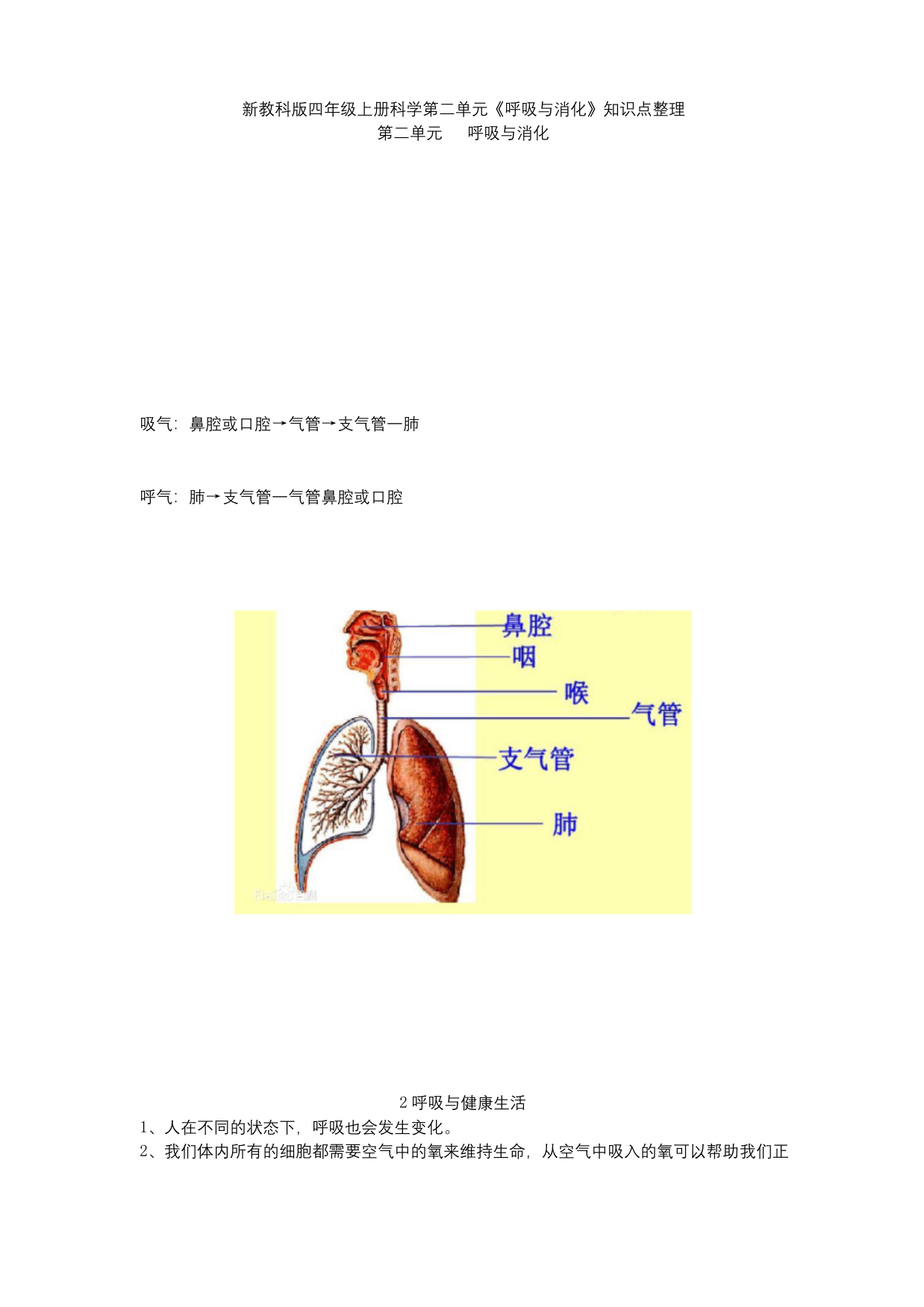 新教科版四年级上册科学第二单元呼吸与消化知识点整理