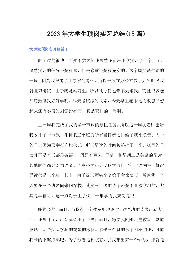 2023年大学生顶岗实习总结(15篇)（word版）