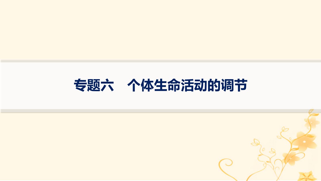 适用于新高考新教材2024版高考生物二轮复习专题突破练6个体生命活动的调节课件