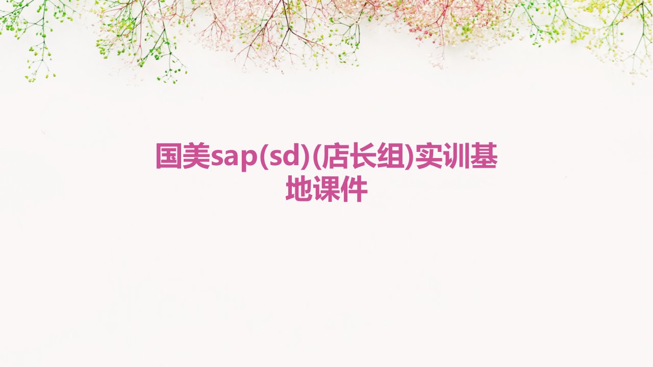 国美SAP(SD)(店长组)实训基地课件