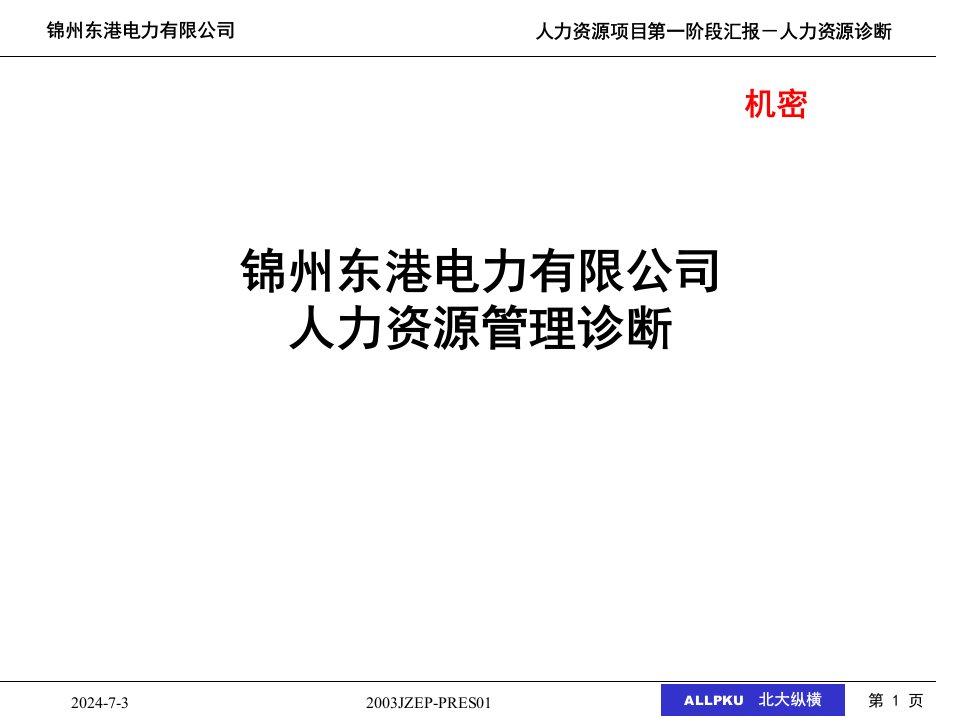 某著名咨询公司-XX电力有限公司人力资源诊断报告（PPT