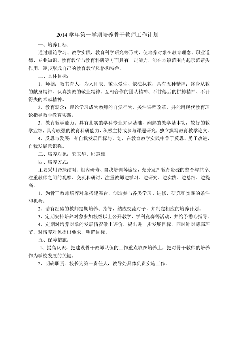 2014培养骨干教师计划、总结