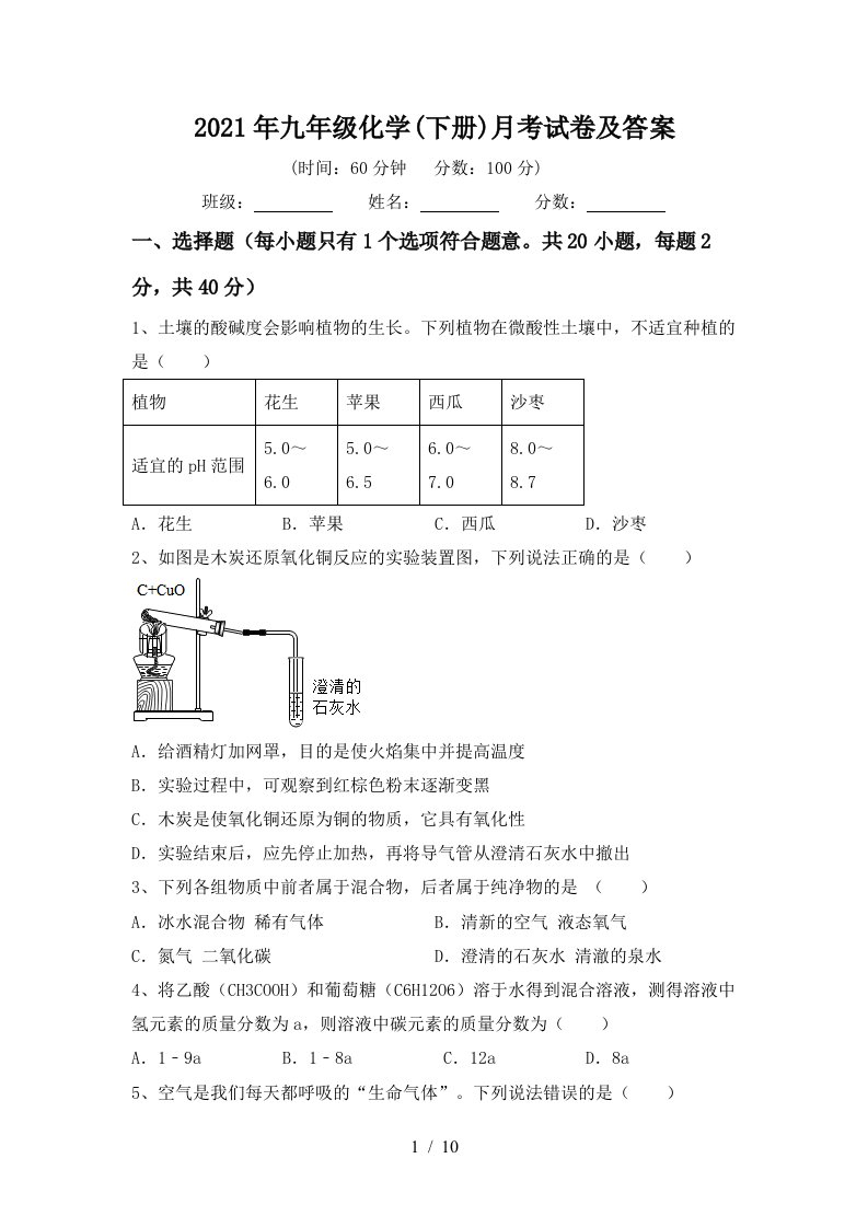 2021年九年级化学下册月考试卷及答案