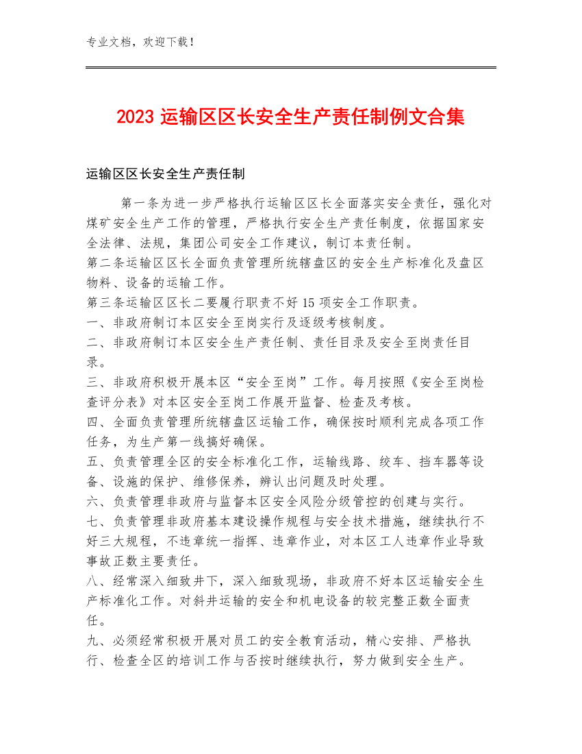 2023运输区区长安全生产责任制例文合集