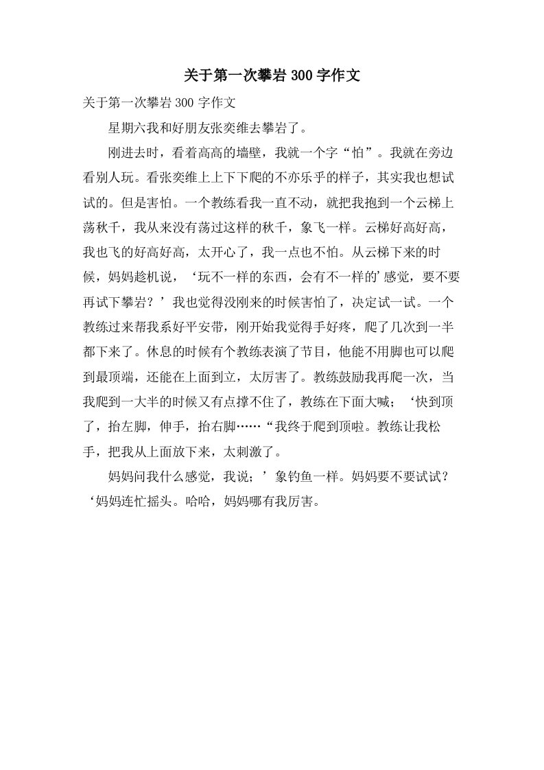 关于第一次攀岩300字作文