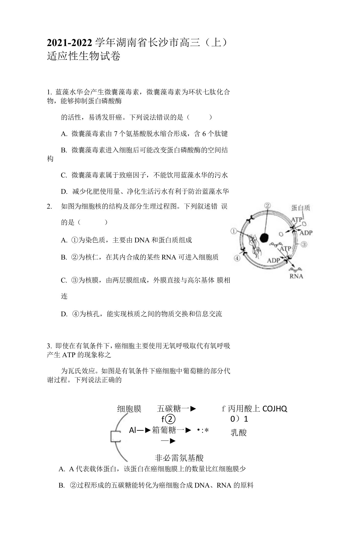 2021-2022学年湖南省长沙市高三（上）适应性生物试卷（附答案详解）