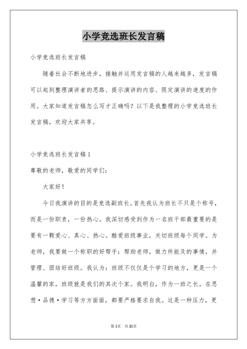 小学竞选班长发言稿例文