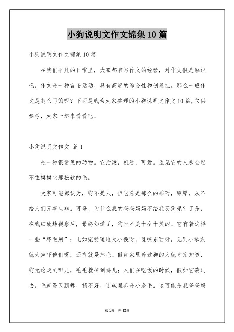 小狗说明文作文锦集10篇例文