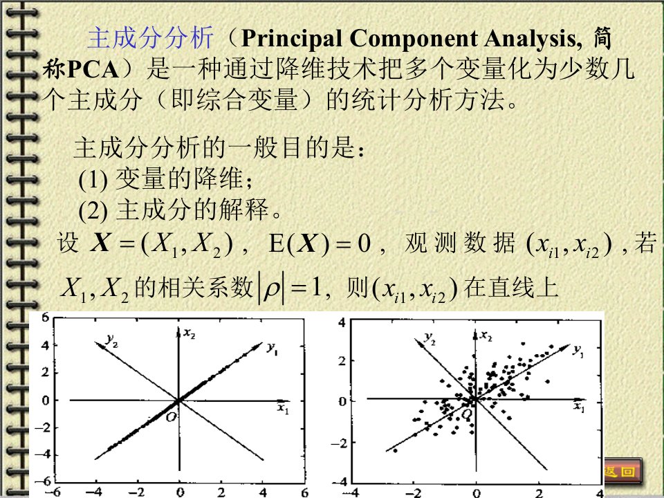 《总体主成分》PPT课件