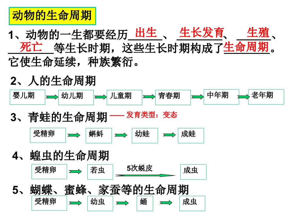 2016春浙教版科学七下第一章《代代相传的生命》ppt复习课件