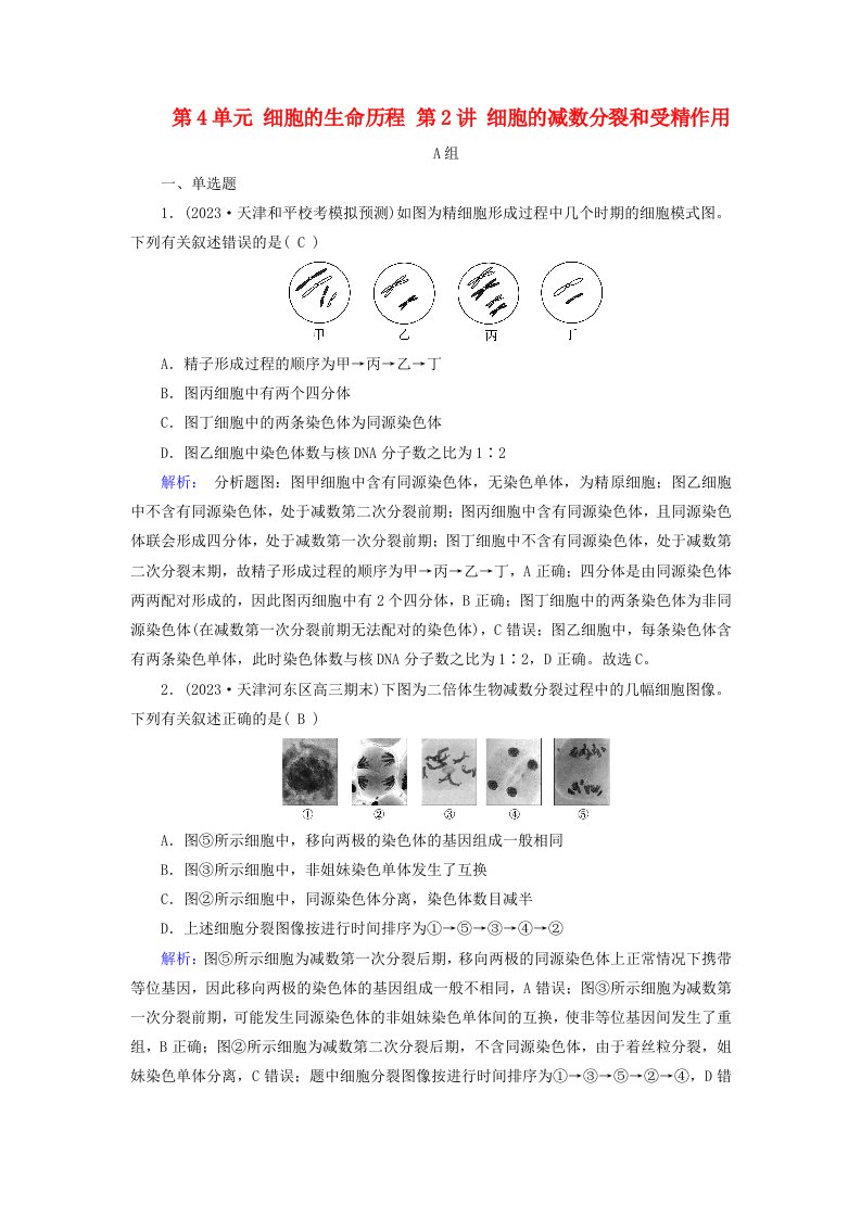 2025版高考生物一轮总复习必修1第4单元细胞的生命历程第2讲细胞的减数分裂和受精作用提能训练