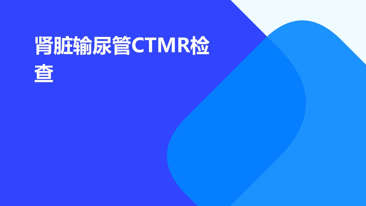 肾脏输尿管CTMR