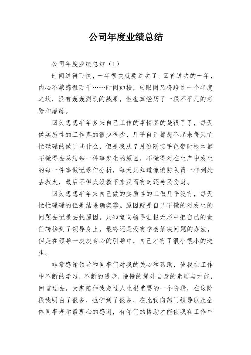 公司年度业绩总结