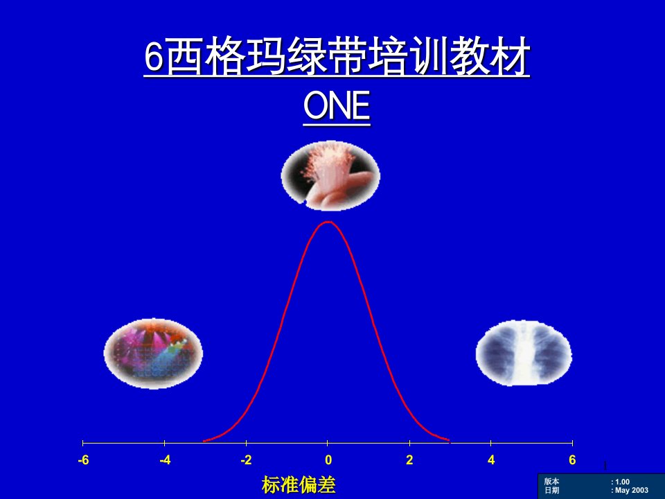 [管理学]最有效管理工具六西格玛