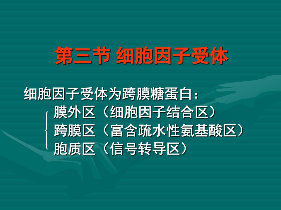 细胞因子受体(PPT课件)