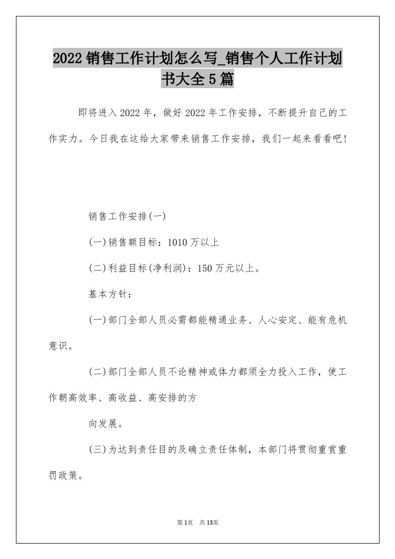 2022销售工作计划怎么写_销售个人工作计划书大全5篇