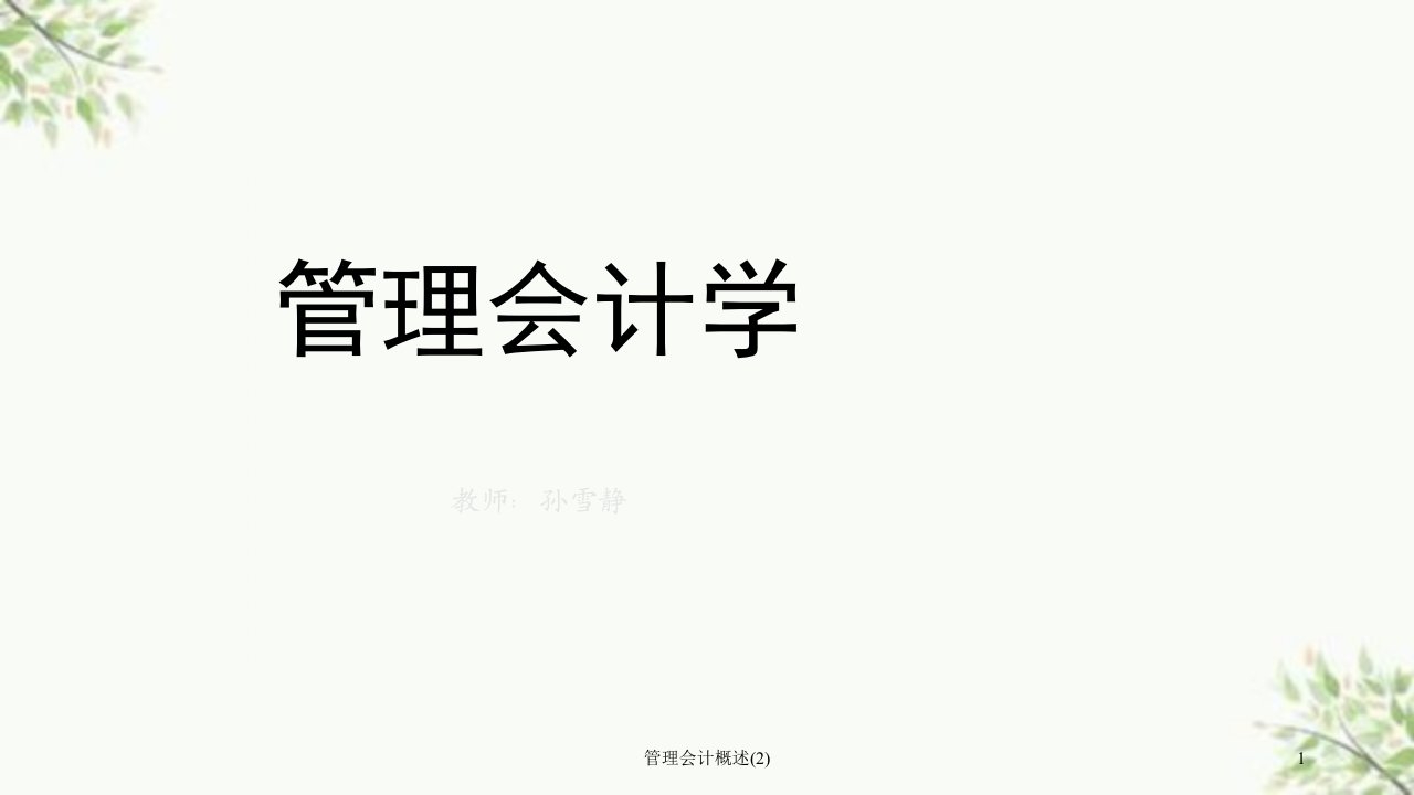 管理会计概述2课件