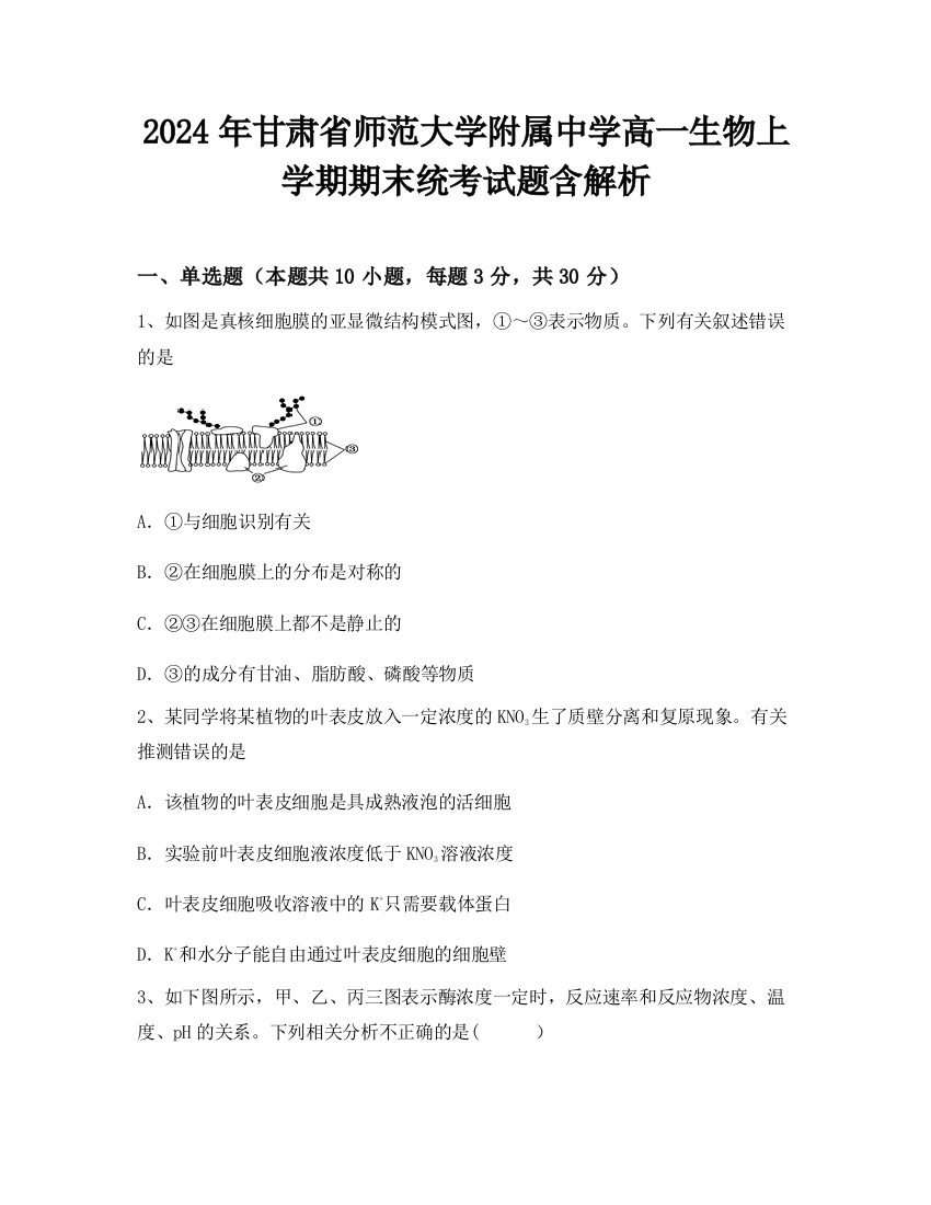 2024年甘肃省师范大学附属中学高一生物上学期期末统考试题含解析