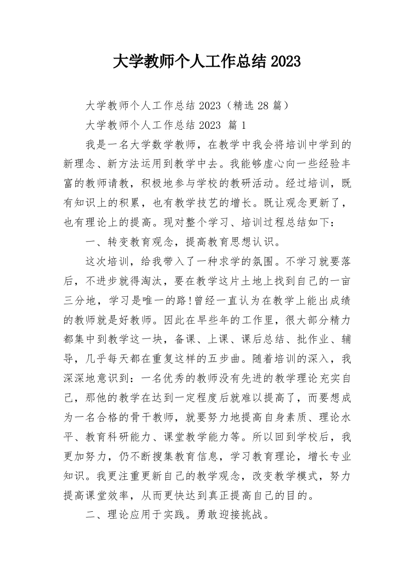 大学教师个人工作总结2023