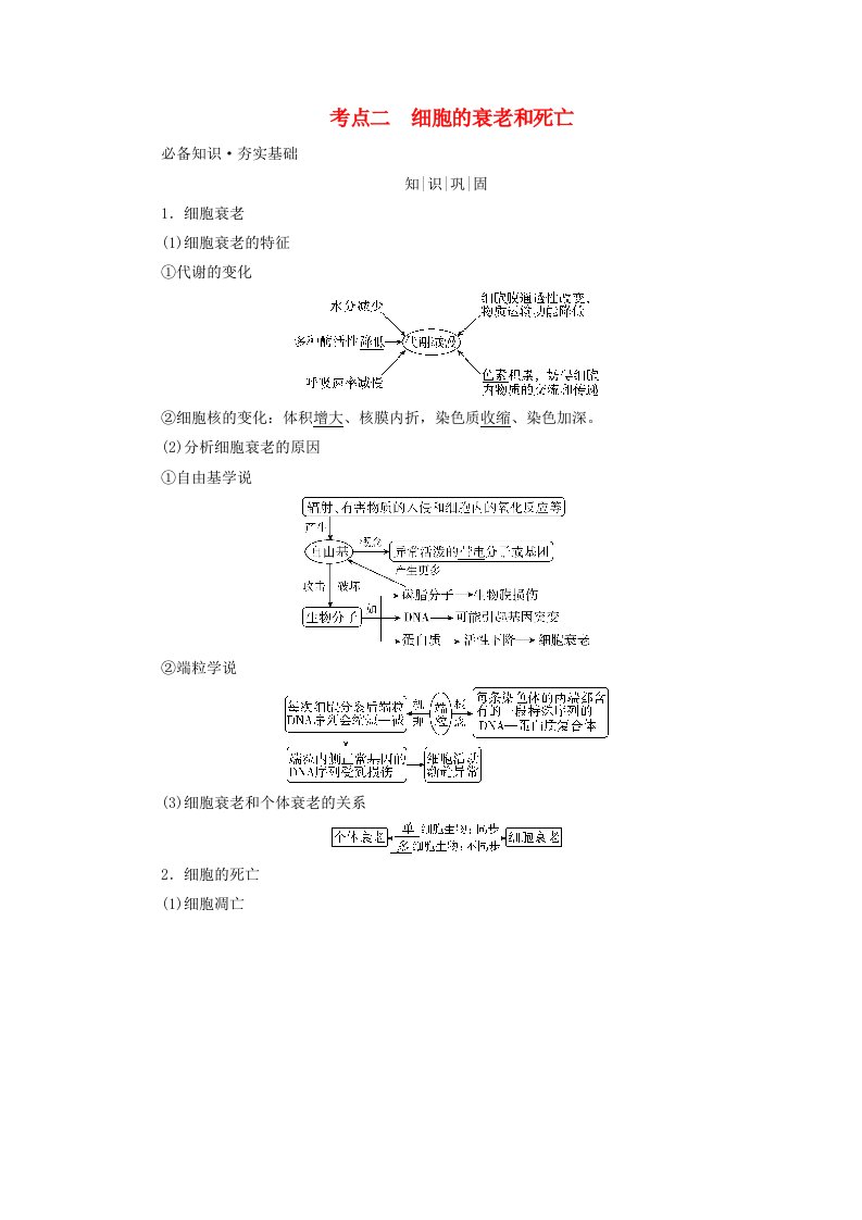 2025版高考生物一轮总复习教师用书必修1第4单元细胞的生命历程第3讲细胞的分化衰老和死亡考点二细胞的衰老和死亡