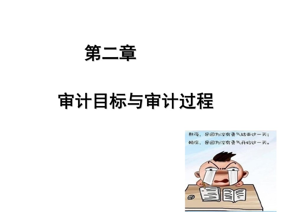 第二章审计目标与审计过程