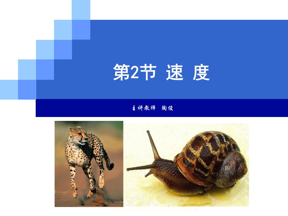 初中物理《速度》PPT-课件PPT（演示稿）