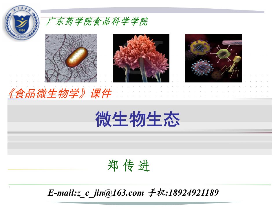 食品微生物学-微生物生态讲解材料